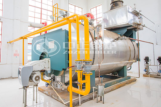 浙江省臺州市6噸WNS系列天燃氣蒸汽鍋爐項目