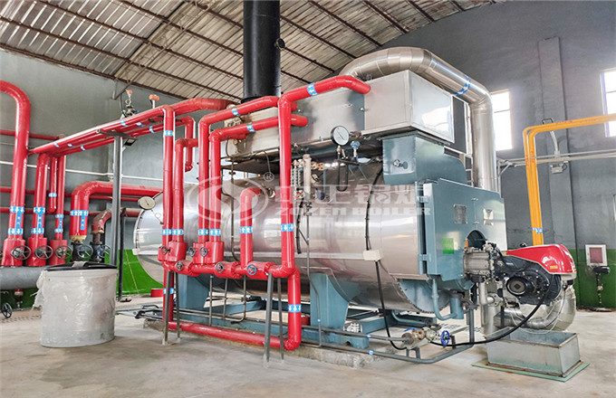 浙江省6噸和10噸燃氣蒸汽鍋爐項目